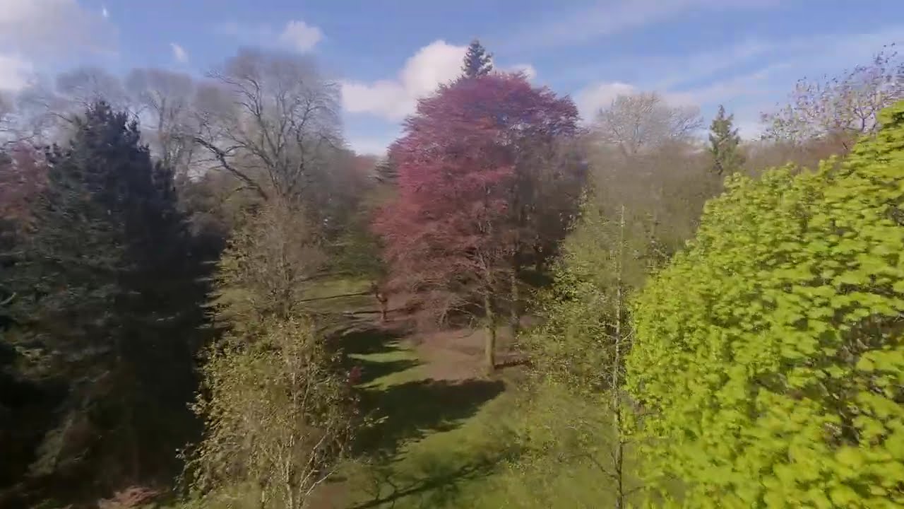 Walsall Arboretum From the Sky | A Cinematic FPV Experience 🌳