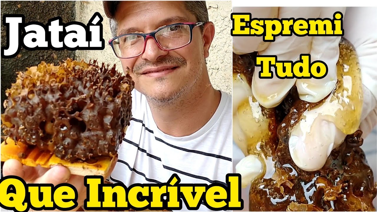 COLHENDO MEL 🍯 DE ABELHA JATAI....