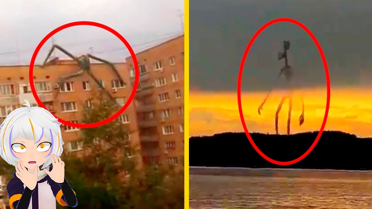 LAS PEORES Criaturas GIGANTES Captadas en Camara en la Vida Real | ChuyMine REACCIONA a BÚHO SABIO