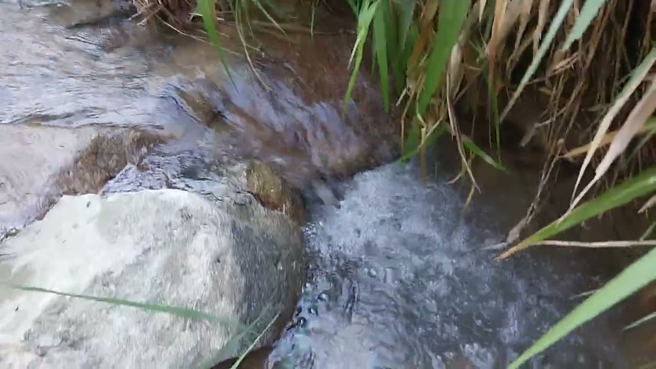 강원도 홍천군 내촌면 물걸리 13**-1 농막 쉼터 급매, 100평 농막터와 기반시설 3,700만원. 25분 이후는 시청하지 마세요. 촌스런 얘기입니다