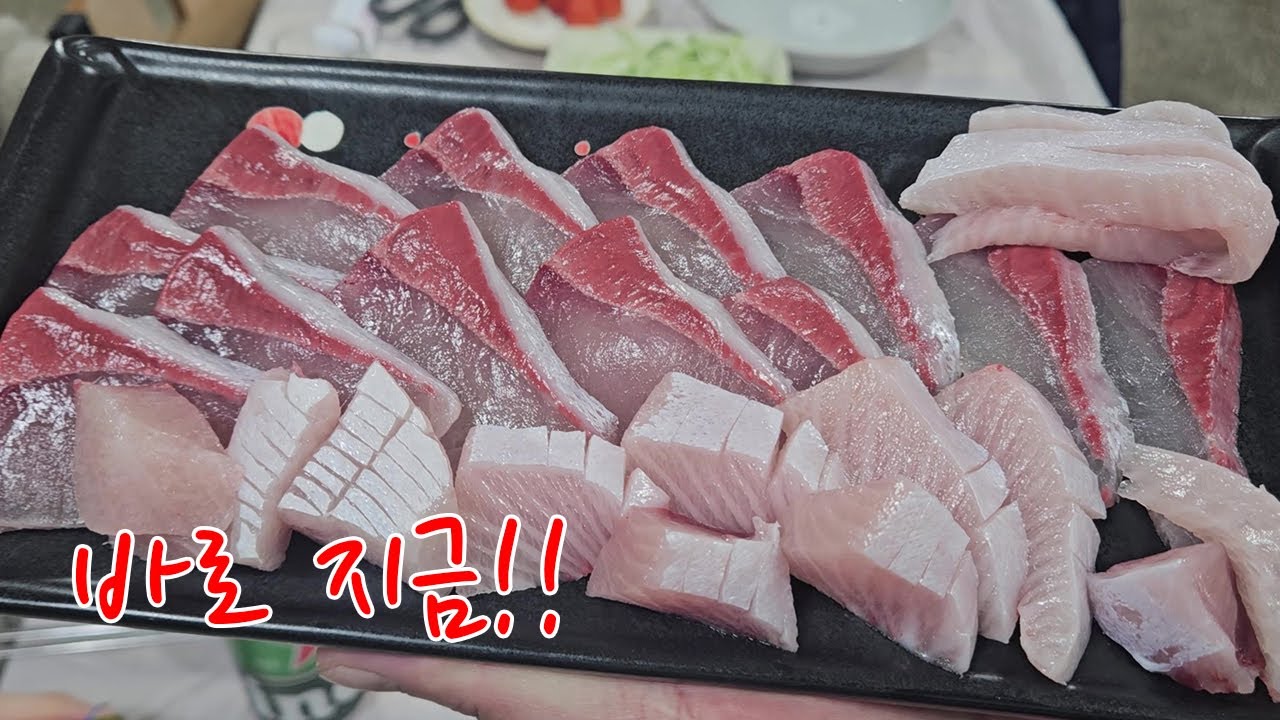 바로 지금입니다.
