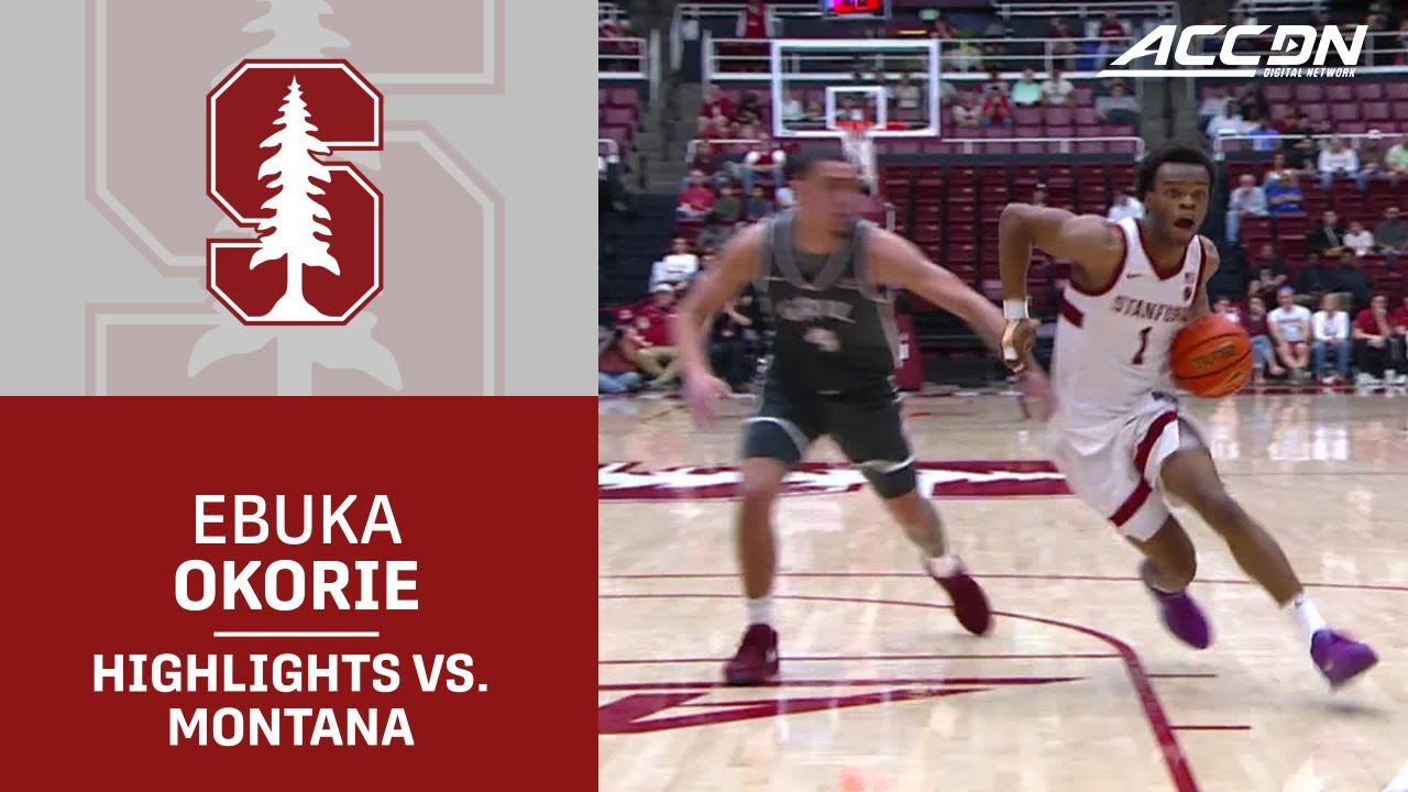 Stanford Guard Ebuka Okorie Highlights vs. Montana
