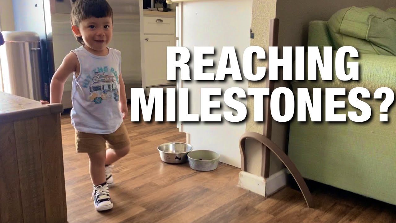 Are we worried about Autism | Do they Interact + 20 Months Milestones