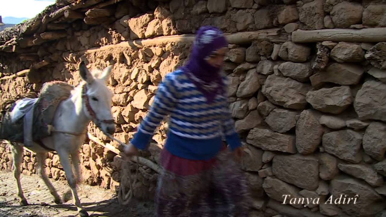 TANYA ADIR&Icirc; [ KİRDK&Icirc; ] AMED naw&ccedil;ey&eacute; Şankuş (&ccedil;&uuml;ng&uuml;ş) (22.01.2015)