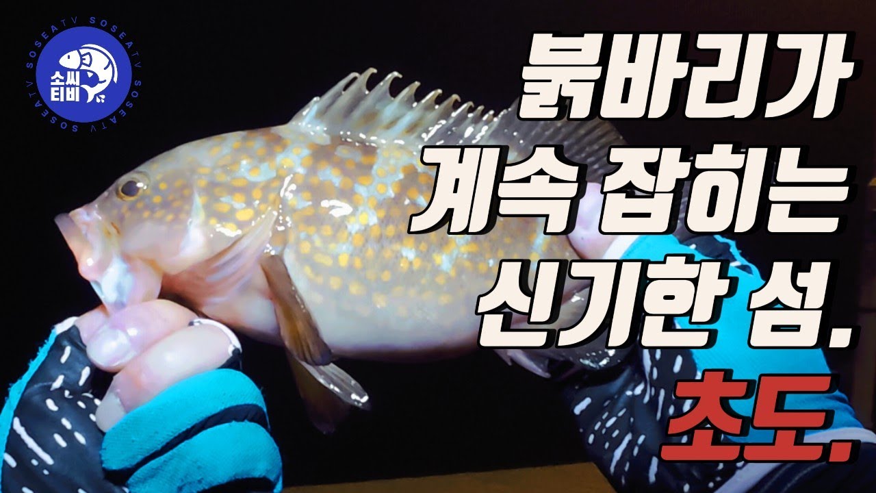 붉바리, 볼락, 쏨뱅이, 해루질까지. 풍족한 섬 여수 초도 낚시 여행