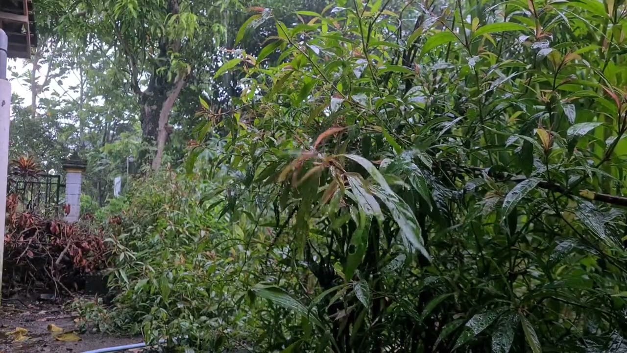 the soft sound of rain is perfect for sleeping