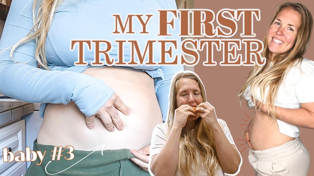 FIRST TRIMESTER of PREGNANCY // Belly Progression