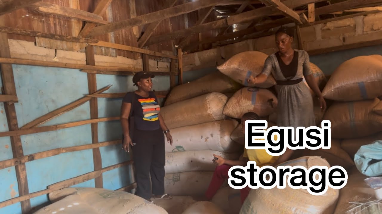 Egusi storage business ||