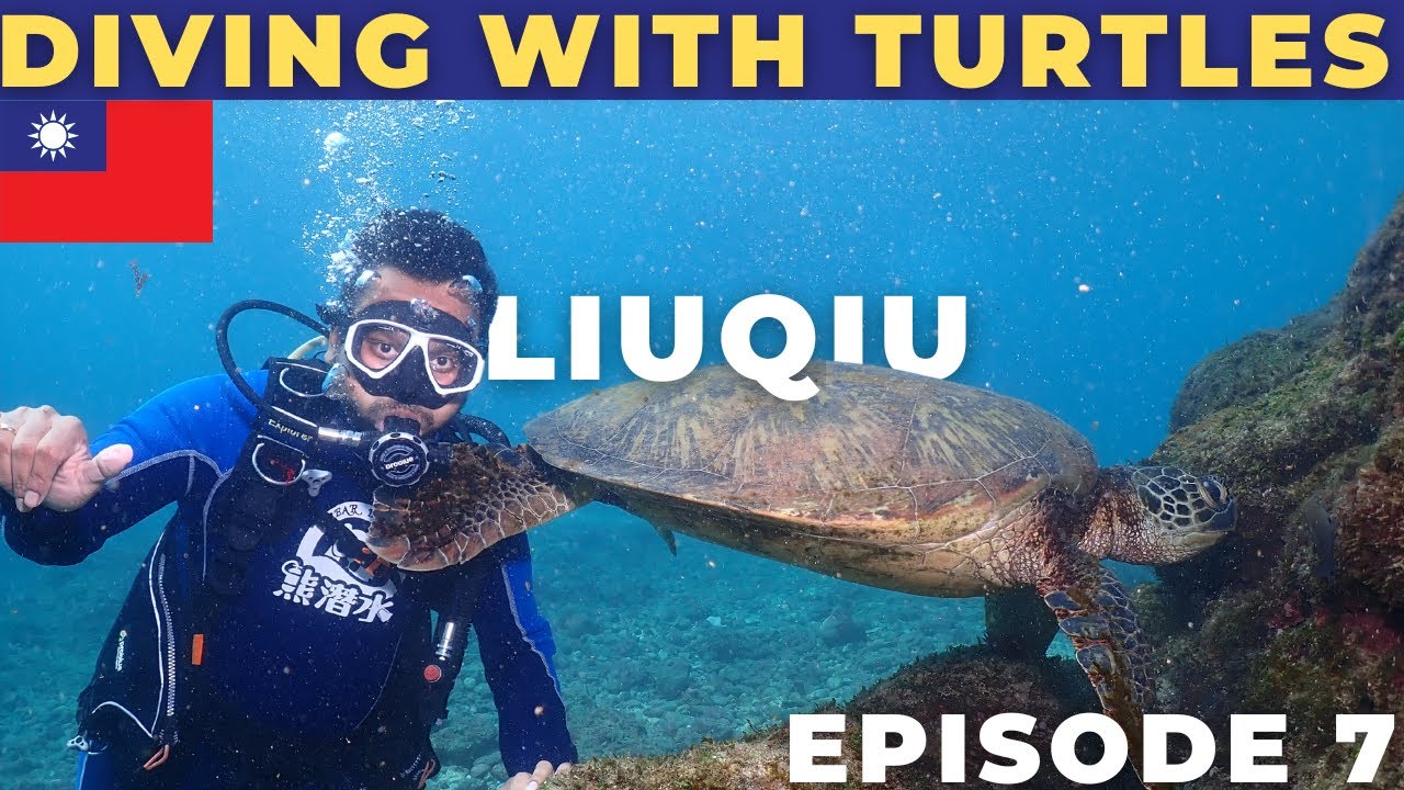INCREDIBLE SCUBA DIVING with TURTLES 🐢 in TAIWAN 🇹🇼 | Liuqiu Island Day Tour