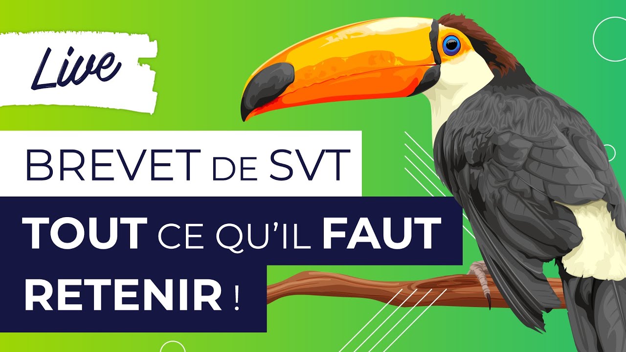 DNB de SVT : tout connaître sur les sciences !