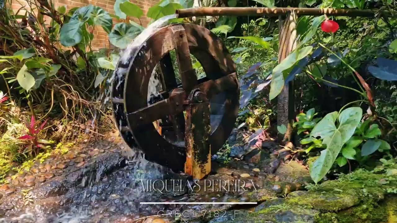 Uma Casa Cercada pela Natureza | Um Refúgio para Viver Bem
