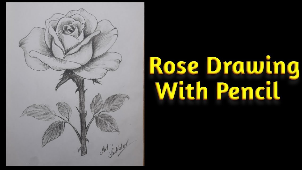 Rose Flower Drawing | Rose Drawing Easy |  How to draw a Rose Step-by-step | #roseflowerdrawing 