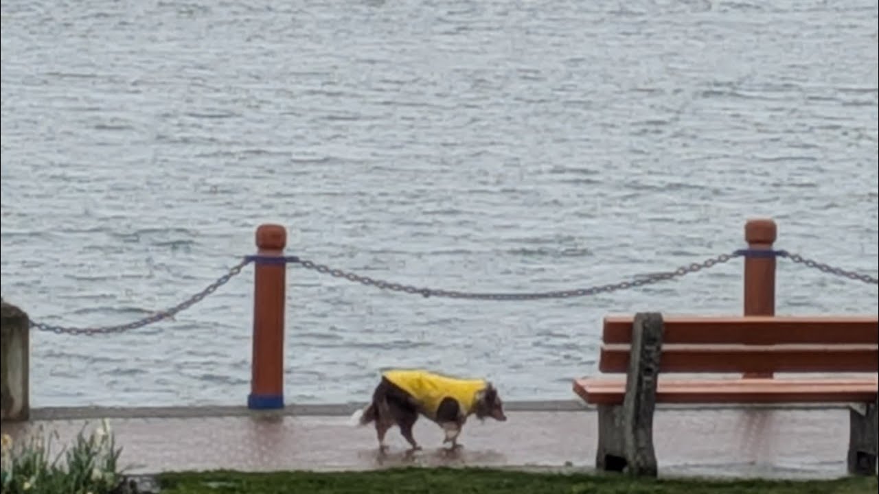 Sights and sounds of Canada 🇨🇦🇨🇦🇨🇦🇨🇦