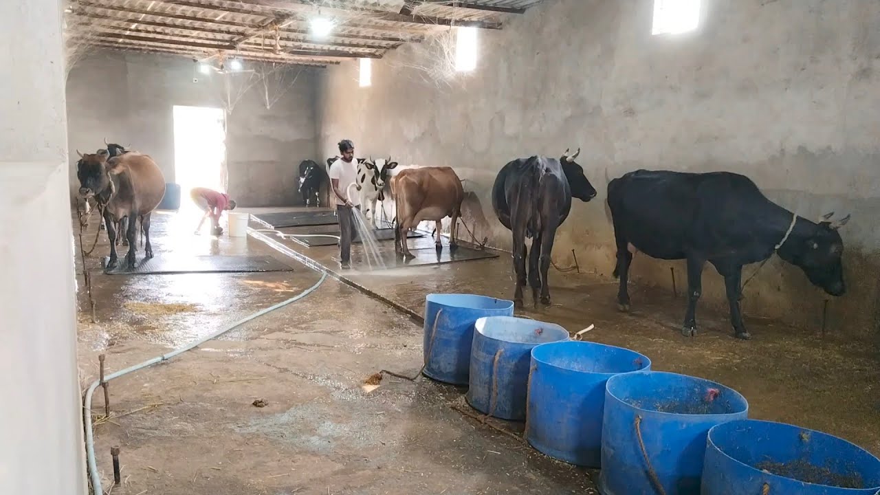 Room Wash Ho Raha Hai 😍 December 16, 2025