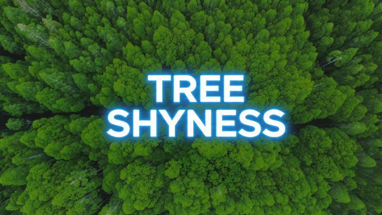 Why Forests Form Perfect Gaps: Nature's Architectural Masterpiece
