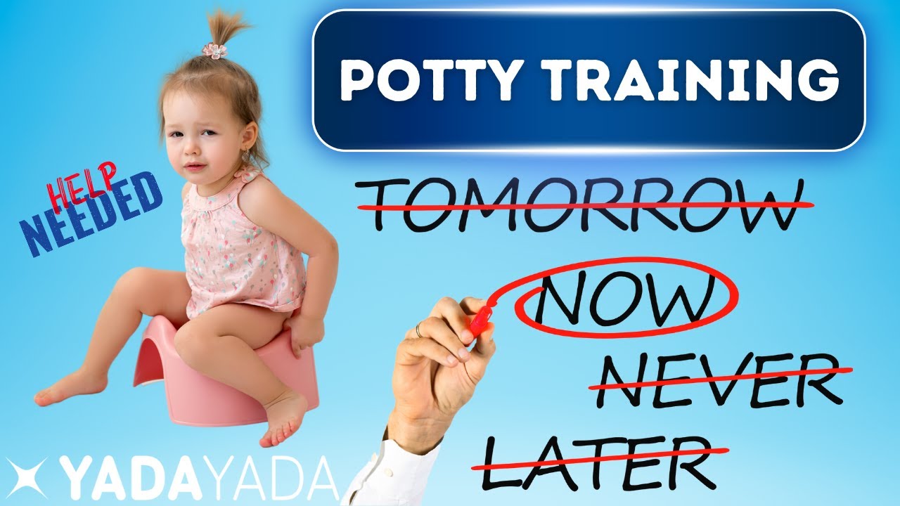 When To Potty Train?  Potty Learning & Signs To Watch For