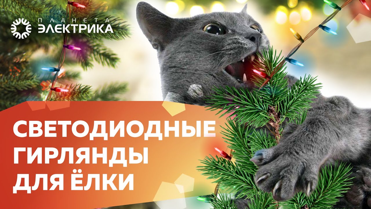 Обзор: Светодиодные гирлянды для ёлки