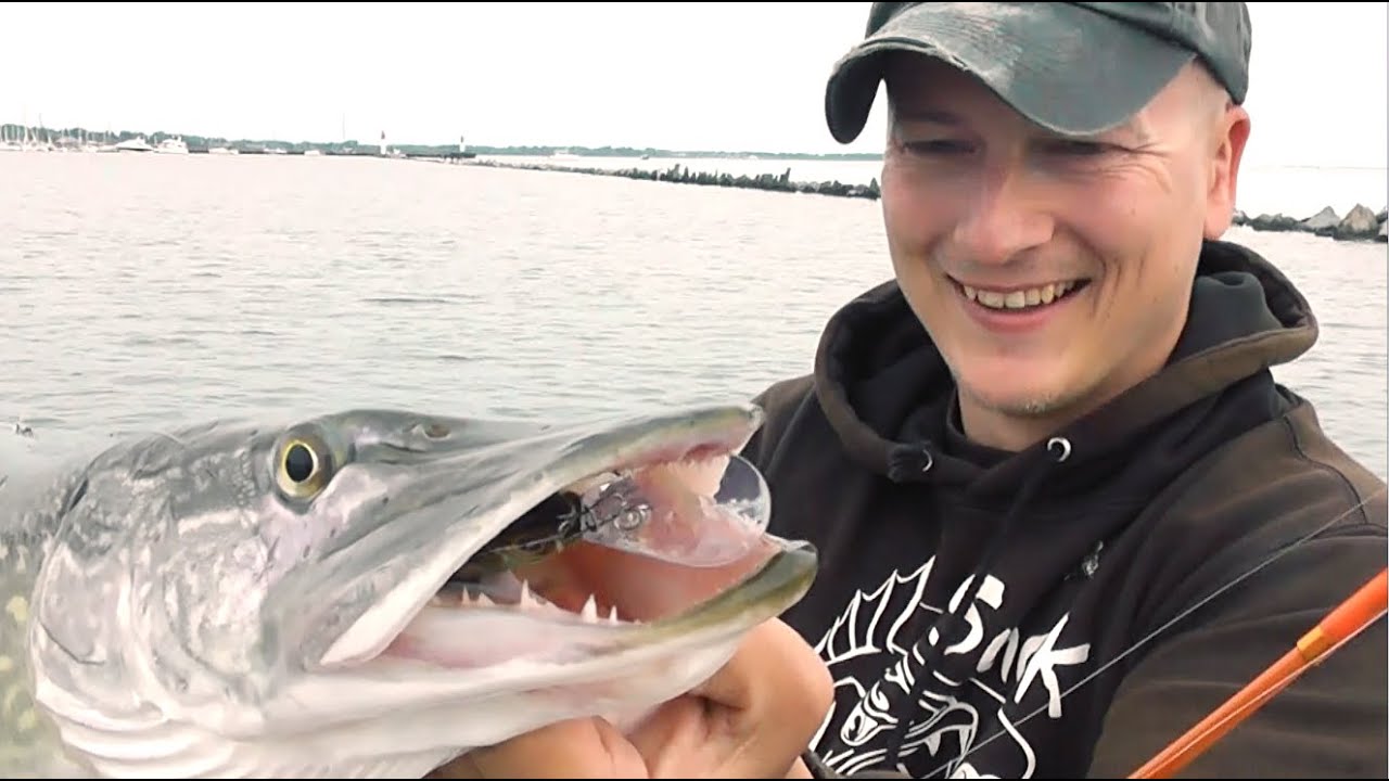 Fischers Maxe - Hecht, Barsch und Zander am Strelasund!