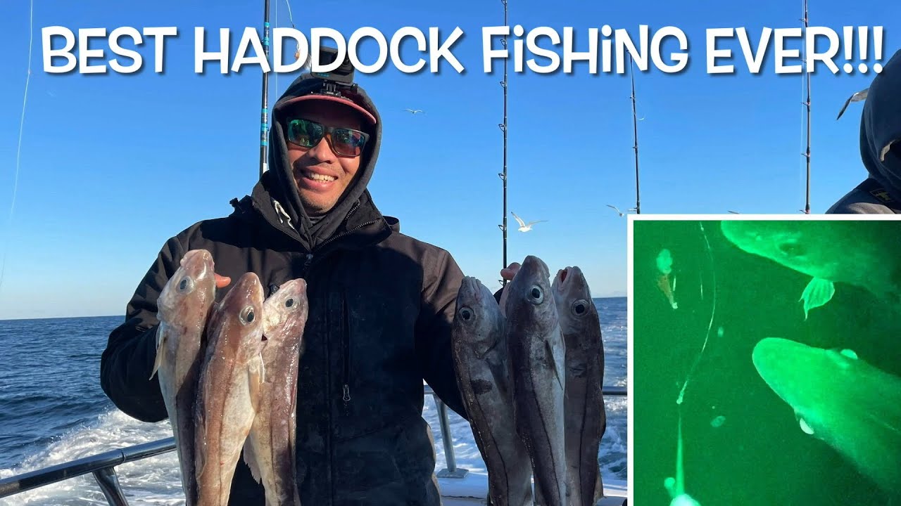 Best haddock fishing trip EVER on the Eastman’s