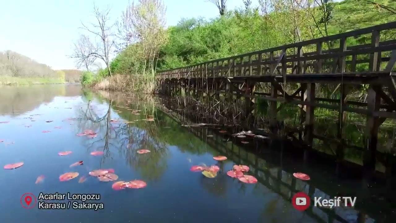 Acarlar Longozu / Karasu Riva Otel