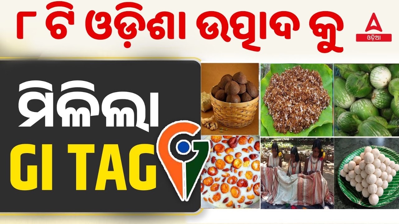 GI Tag 2024 | 8 New Product of Odisha Get GI Tag | Current Affairs By Bibhuti Sir