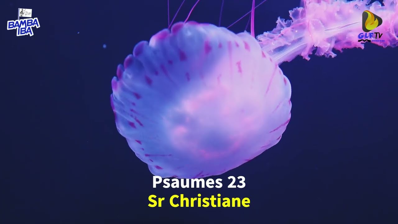 Psaumes 23... Sr Christiane