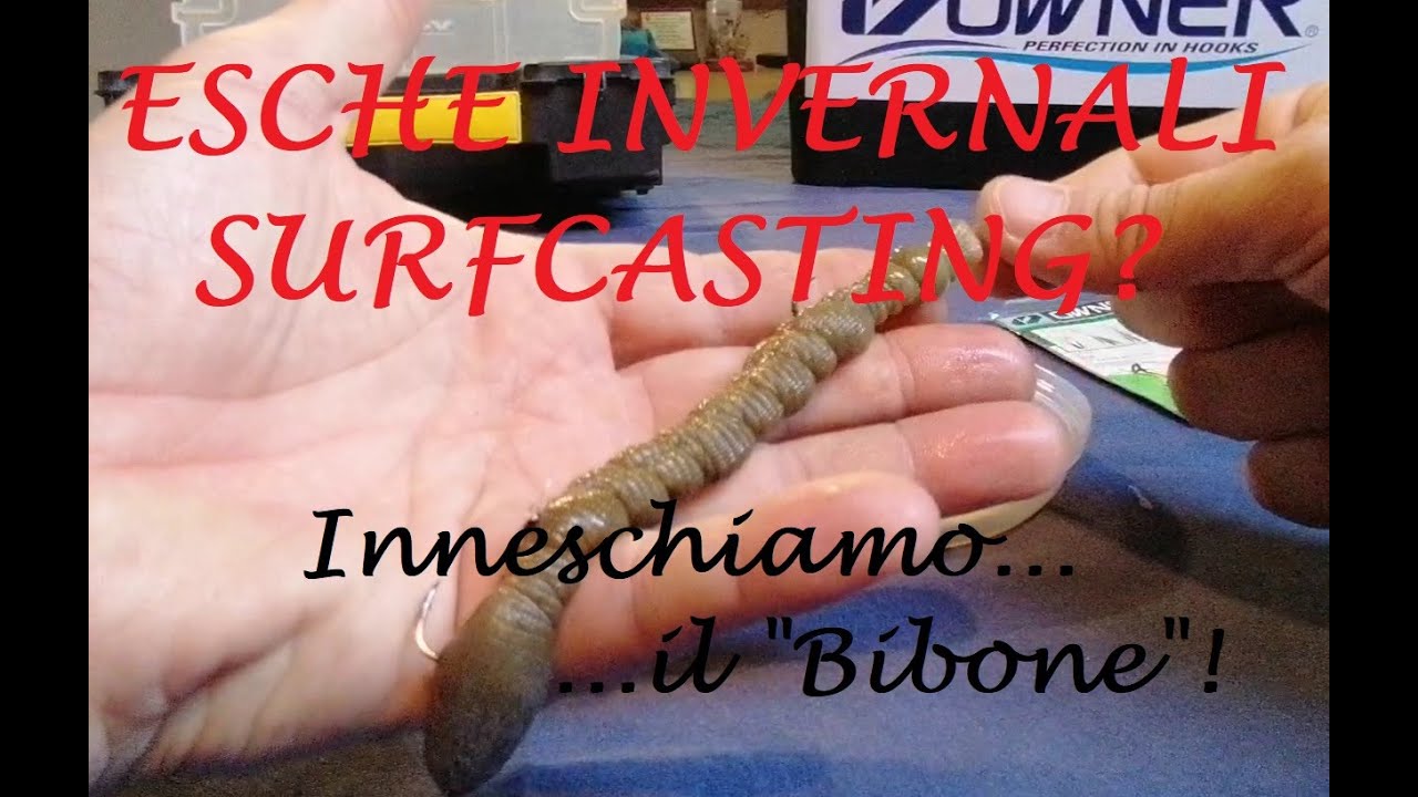 Esche Invernali Surfcasting!... Inneschiamo il 
