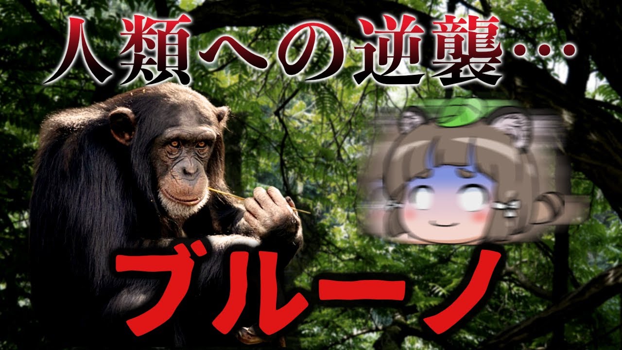【人類への逆襲】チンパンジー「ブルーノ」が引き起こした悲劇…