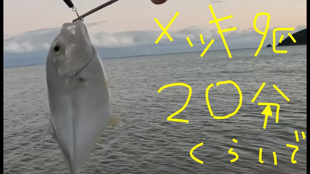 メッキ9匹　短時間釣行　沖縄釣り