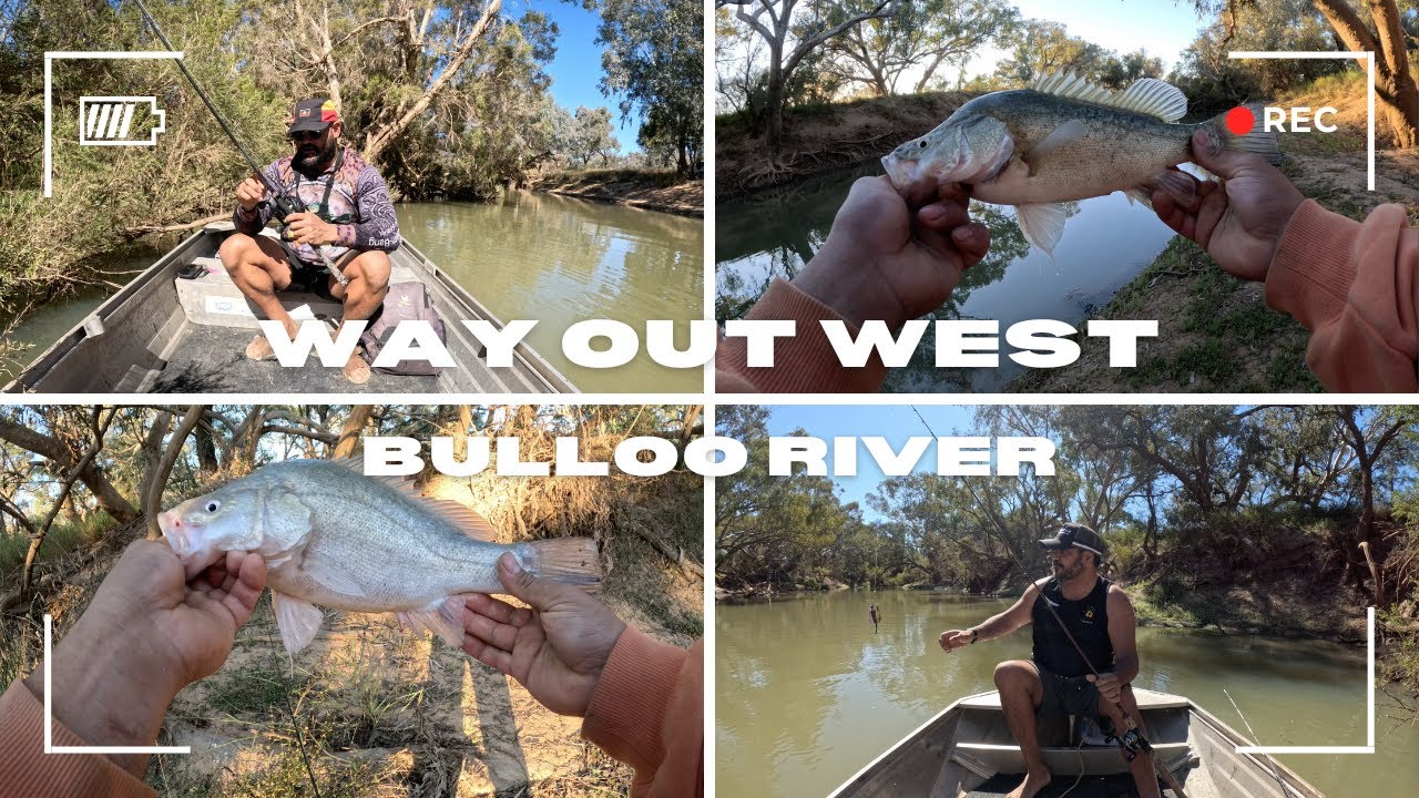 Yellowbelly fishing in remote QLD - Bulloo River Quilpie