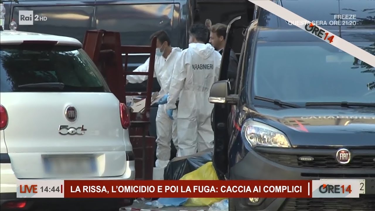 Paolo Taormina, la rissa, l'omicidio e poi la fuga: caccia ai complici - Ore 14 del 14/10/2025