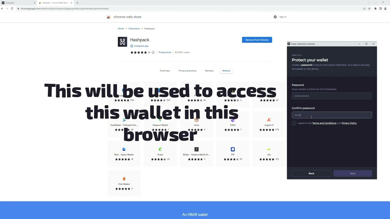 Advanced HashPack Wallet Creation Walkthrough