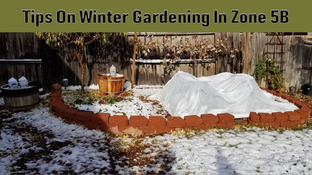 Tips On Winter Gardening In Zone 5B