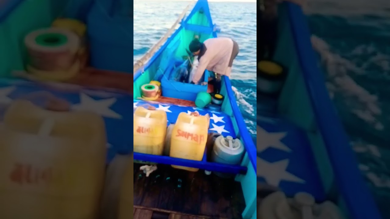 Boat fishing tuna | Keahlian Mancing Ikan Tuna