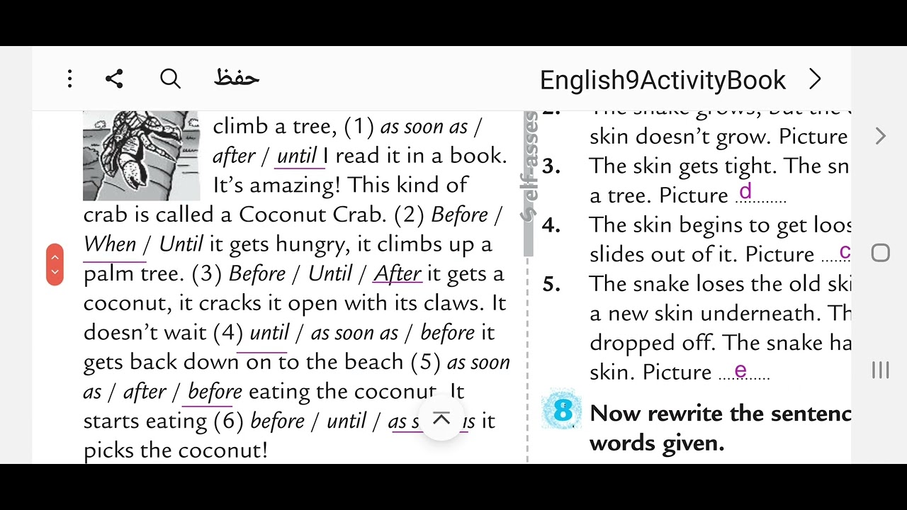 الصف التاسع - كتاب الانشطة - شرح قاعدة كلمات الربط و حل تمرين صفحة 41