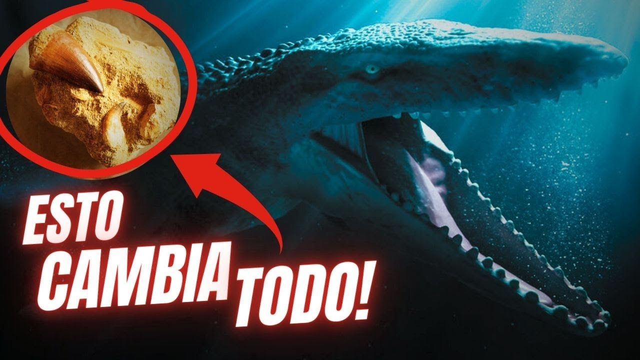 Esto es INCREIBLE! DESCUBRE el ULTIMO HALLAZGO de MOSASAURUS! 