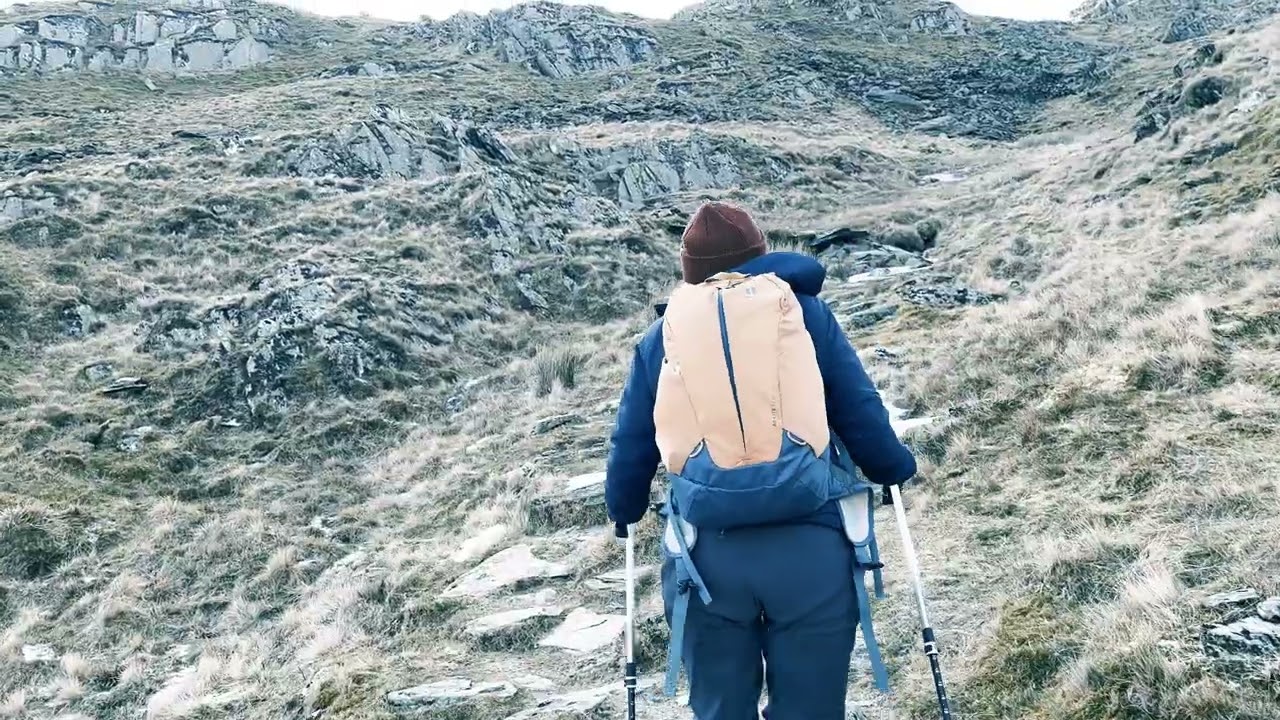 20260220 MotM: JANUARY - MARDALE ILL BELL