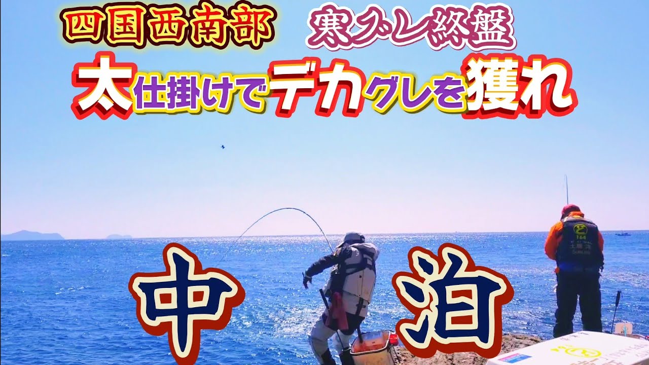 3/10【愛南町中泊】水中カメラで、デカグレ発見‼️　喰ってくるか❔(^-^)水中映像アリ