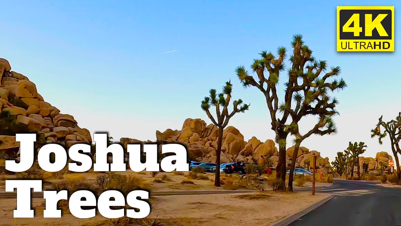 Joshua Trees National Park Drive Through Just after Sunset and into Darkness. 4K HDR