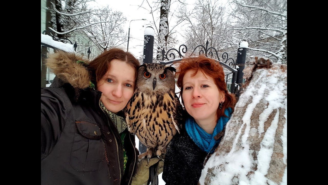 Кто в лес, кто по дрова. Упоротые зоологи малым составом добывают ценную древесину.