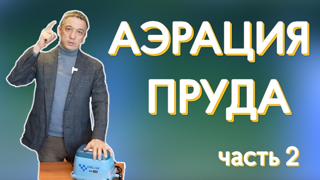Рассматриваем разные варианты аэрации пруда. Японский аэратор