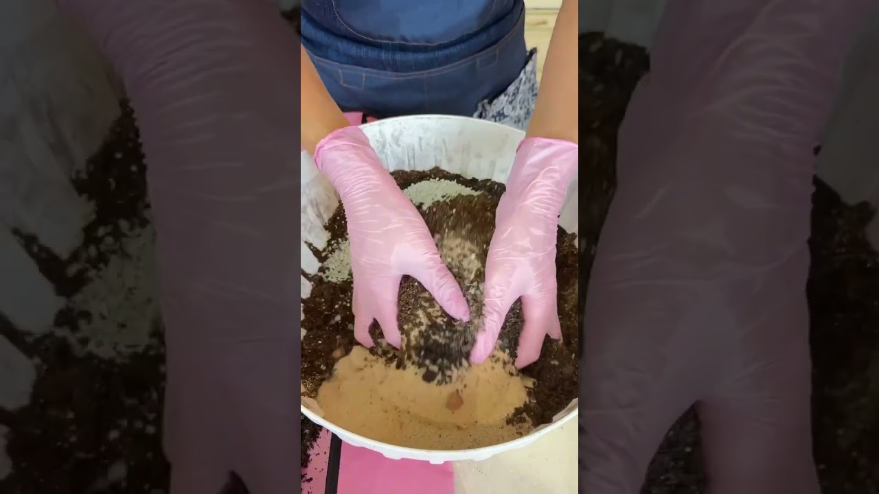 Пересадка Мандрагоры)А если серьезно, кто угадает, что мы вырастили из семян?