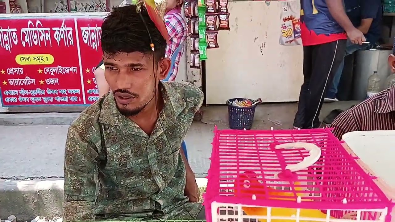 Birds-Animal Market in Mirpur1, Dhaka-BD,Part 3 (পশু পাখির হাট মিরপুর ১, ঢাকা, বাংলাদেশ)