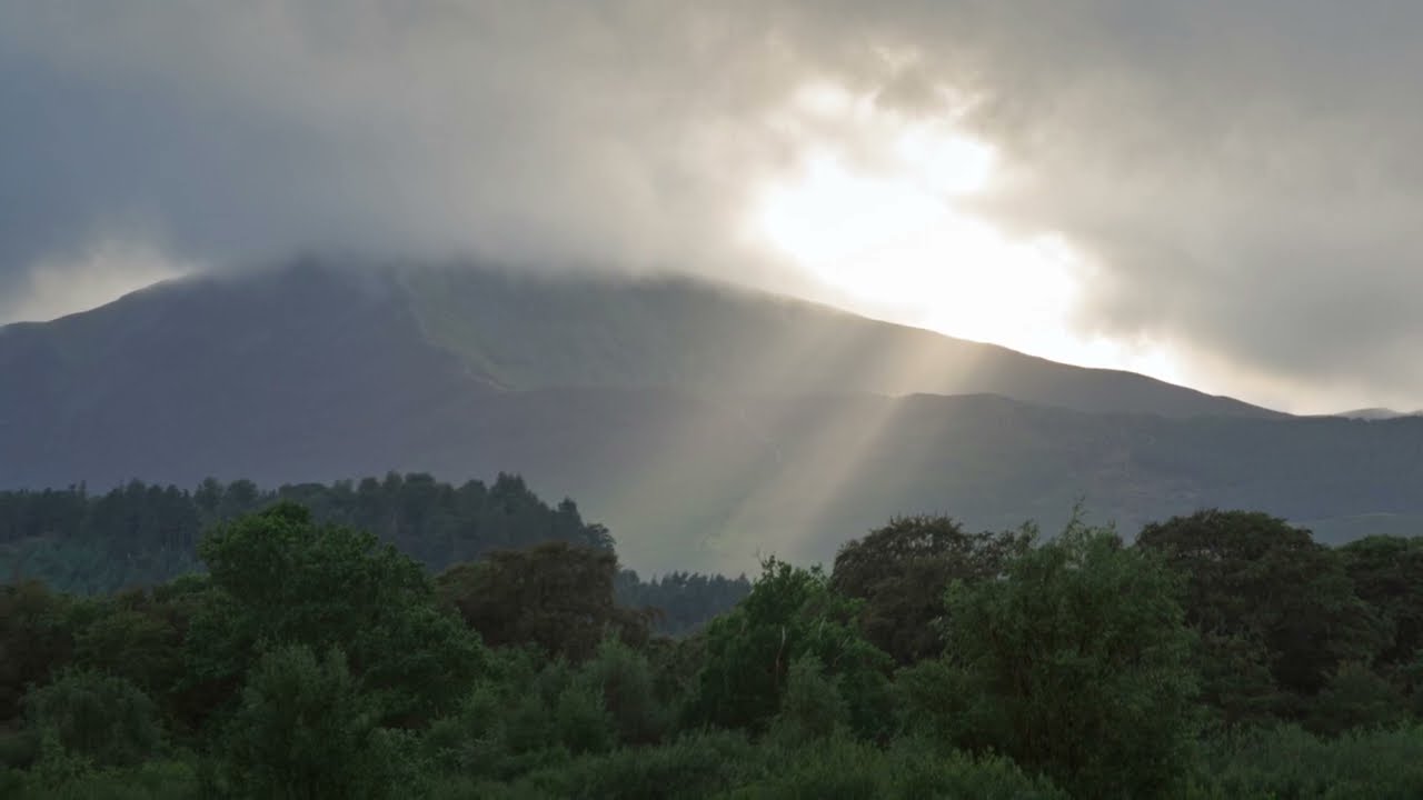 Sunshine After Rain