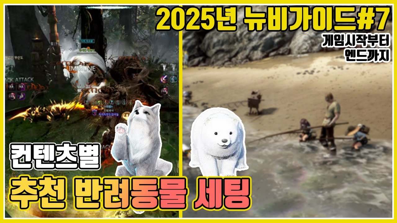 뉴비가이드#7_2 컨텐츠별 추천 반려동물[게임시작부터엔드까지]#2025년최신판#검은사막#시즌#뉴비#펫#반려동물#추천#초보#BDO