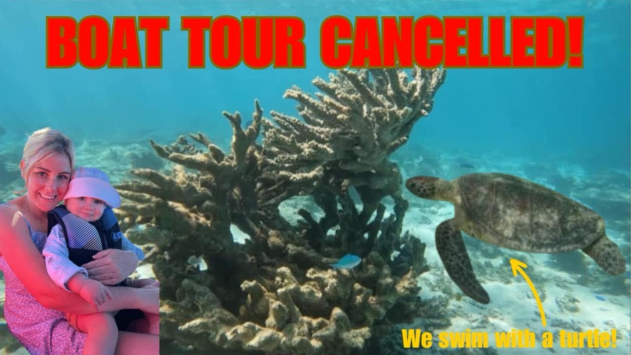 IS CORAL BAY OVERRATED? Five Fingers Reef snorkelling
