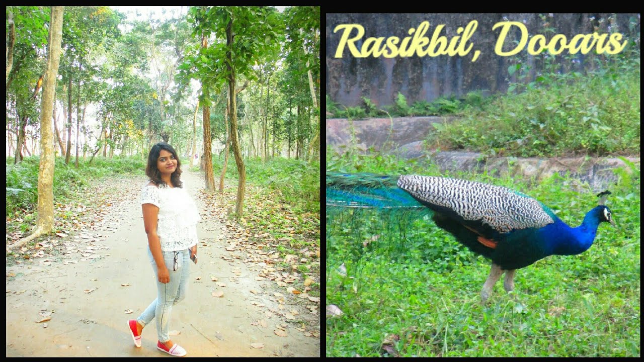 Rasikbil forest zoo, Dooars.