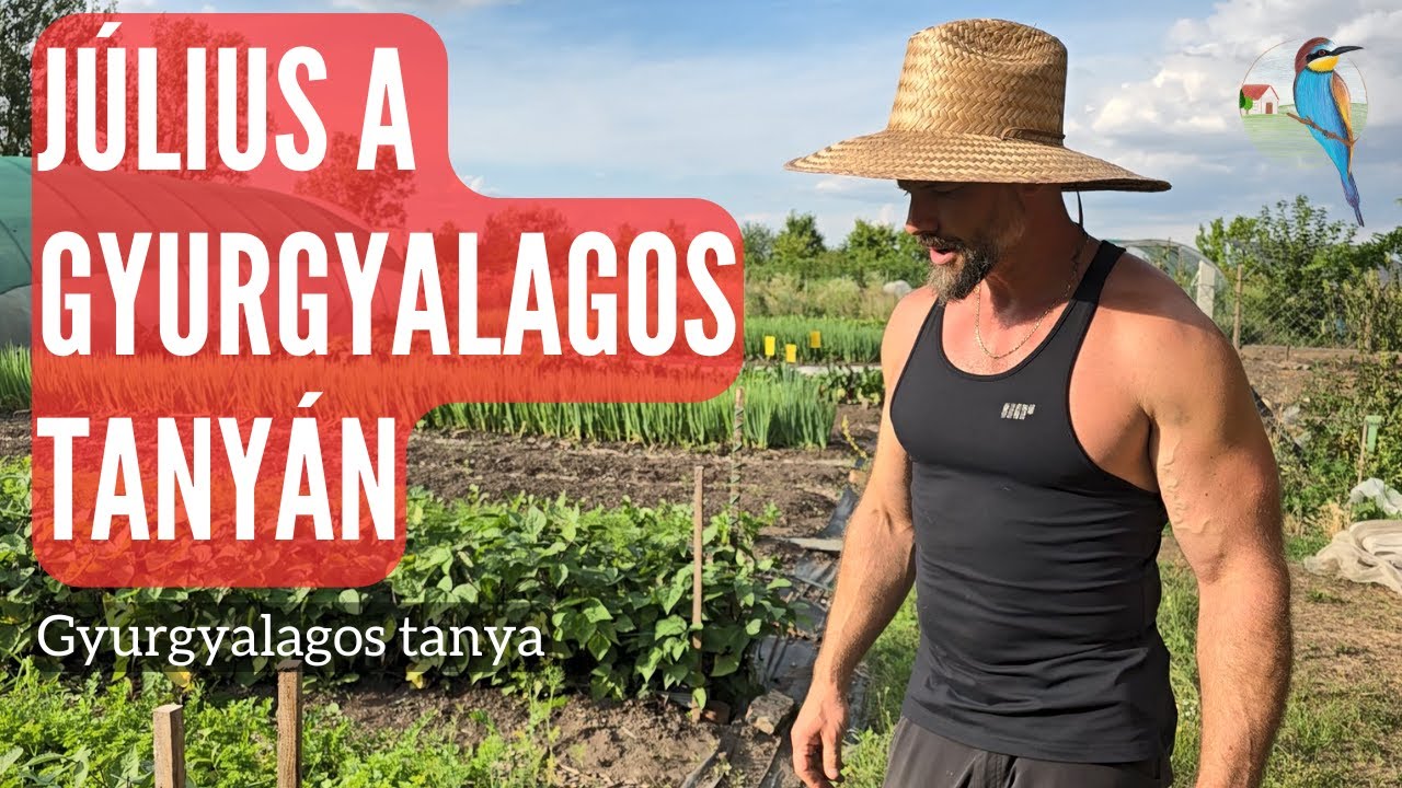 Július a Gyurgyalagos tanyán