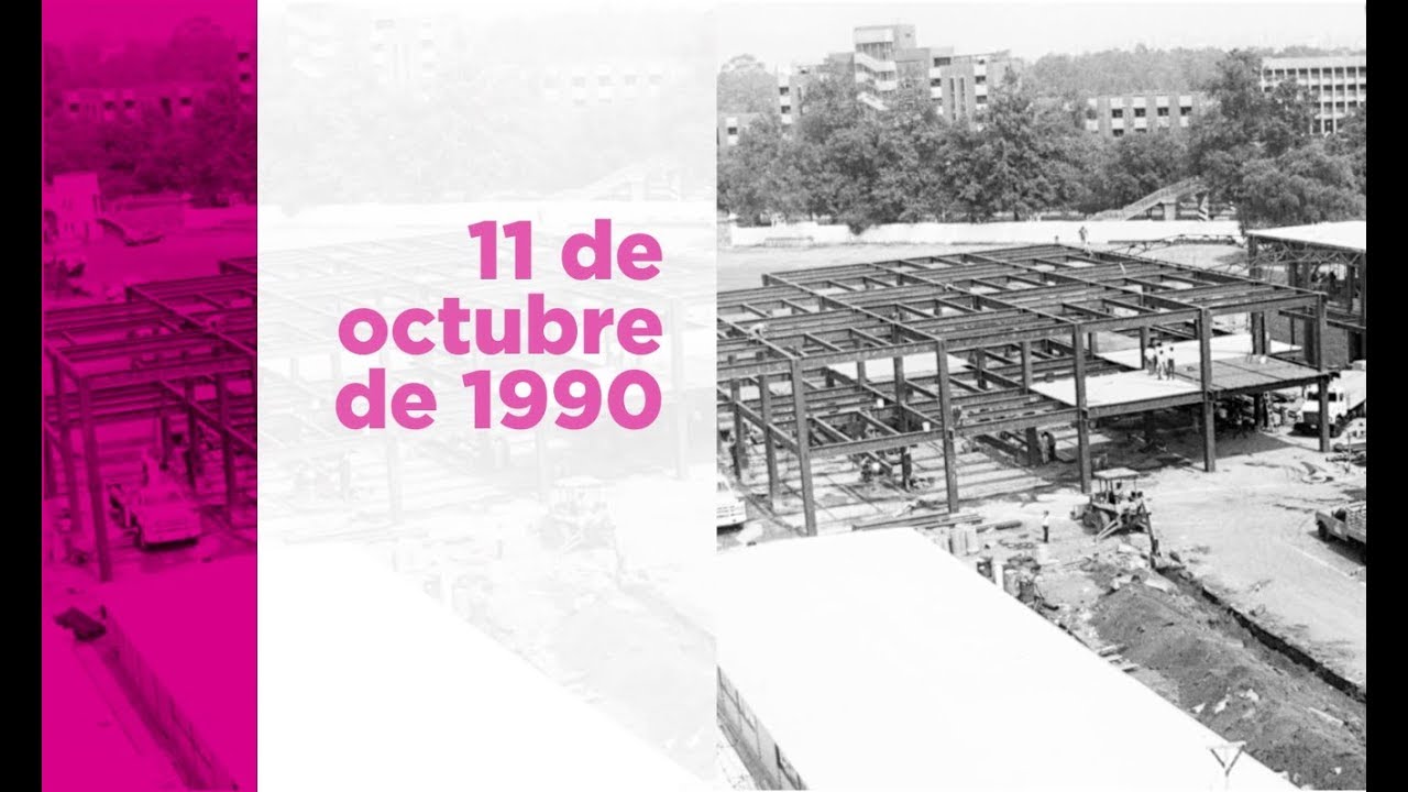 Conoce los orígenes y la evolución del INE, cuya historia data de 1990