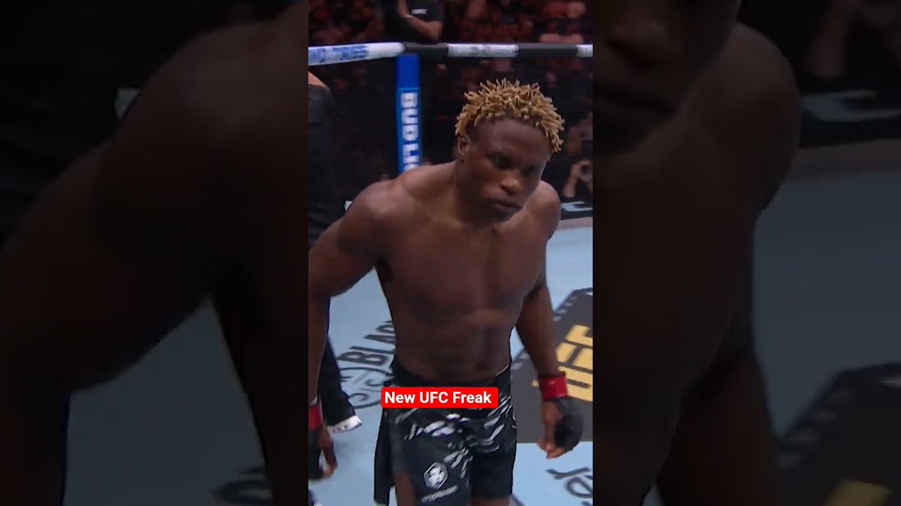new UFC Freak 